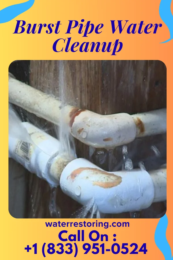 Burst Pipe Water Cleanup in Bangor Base, WA