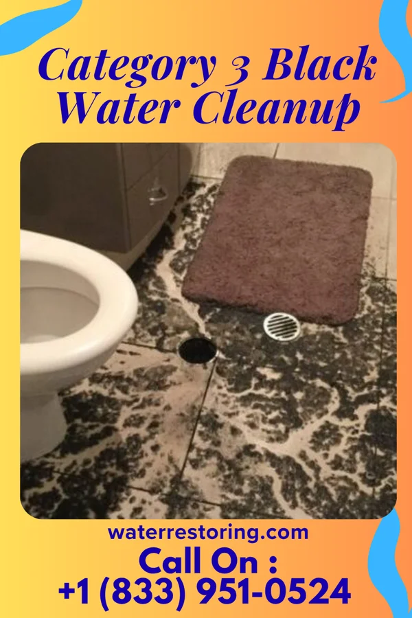 Category 3 Black Water Cleanup in Bangor Base, WA