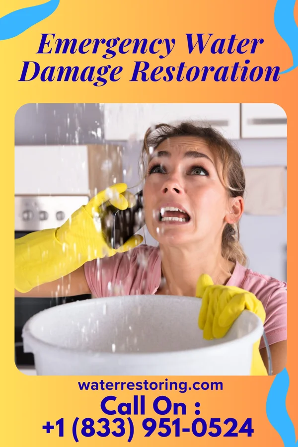 Emergency Water Damage Restoration in Bangor Base, WA
