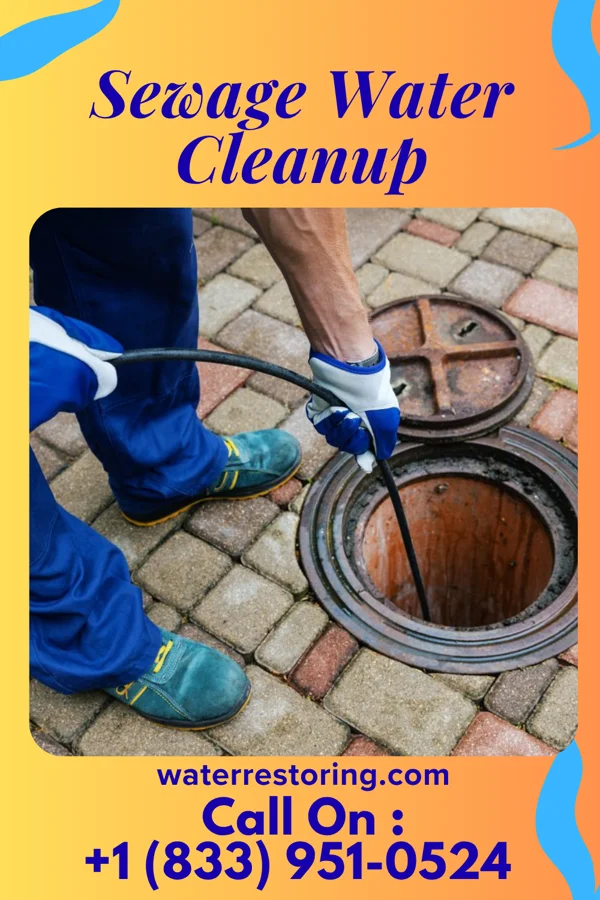 Sewage Water Cleanup in Bangor Base, WA